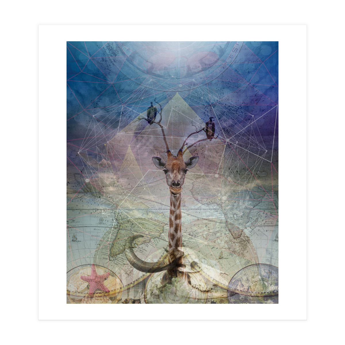 Warning (Print Only)