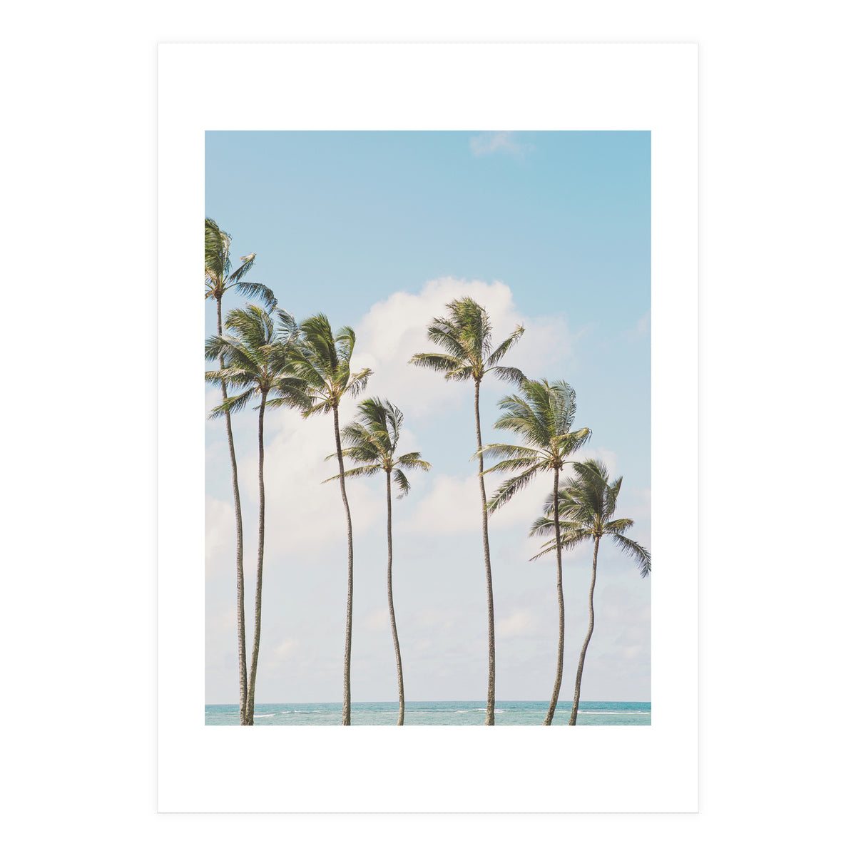 Tropical Palm Trees (Print Only)