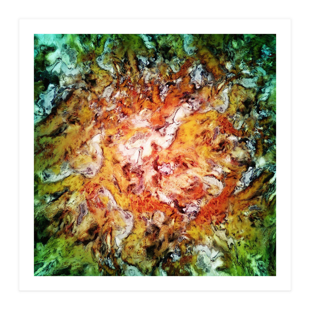 The Natural Light (Print Only)