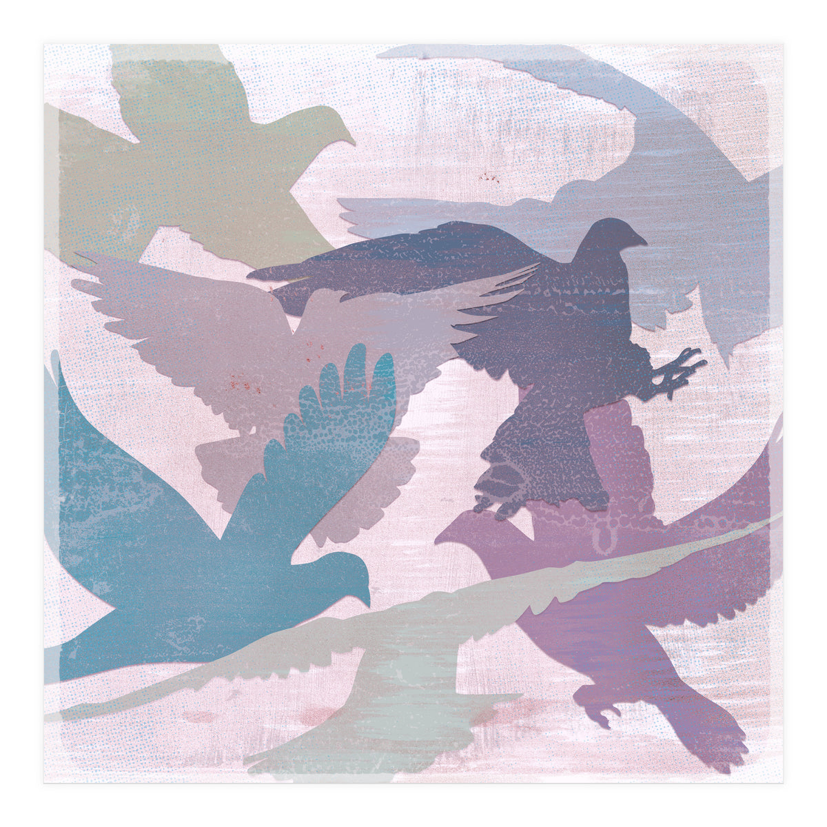 A bevy of doves (Print Only)