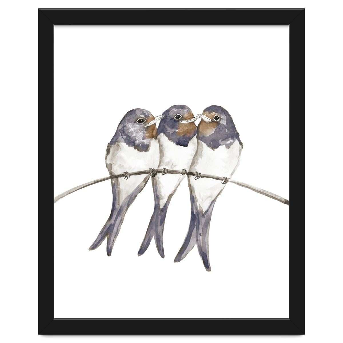Three young swallows