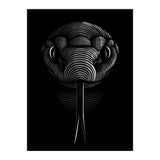 Snake lines (Print Only) thumbnail