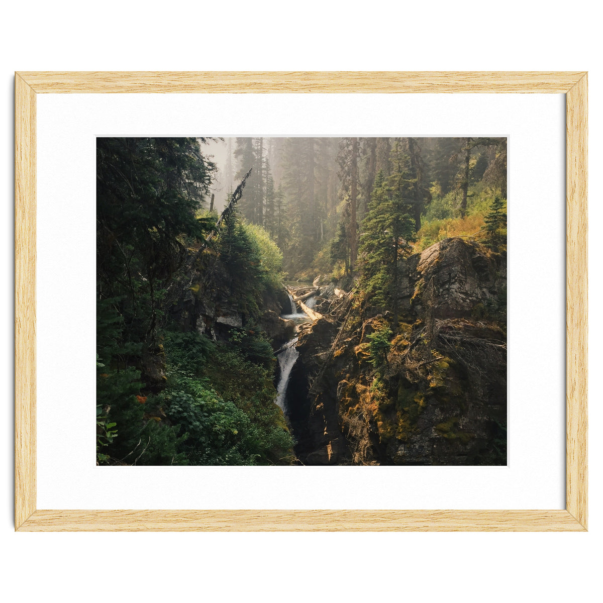 Glacier National Park I