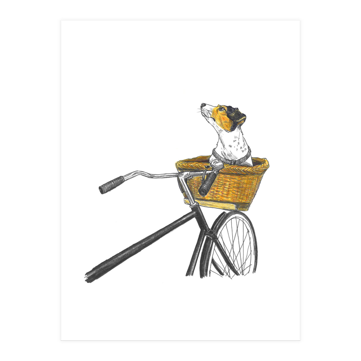 Dog In Basket (Print Only)