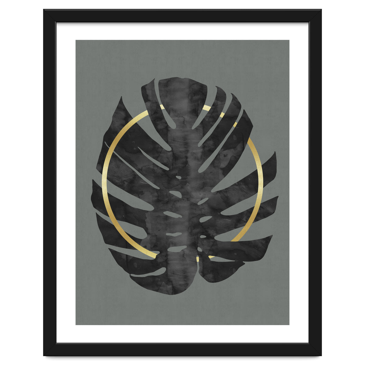 Monstera Deliciosa I