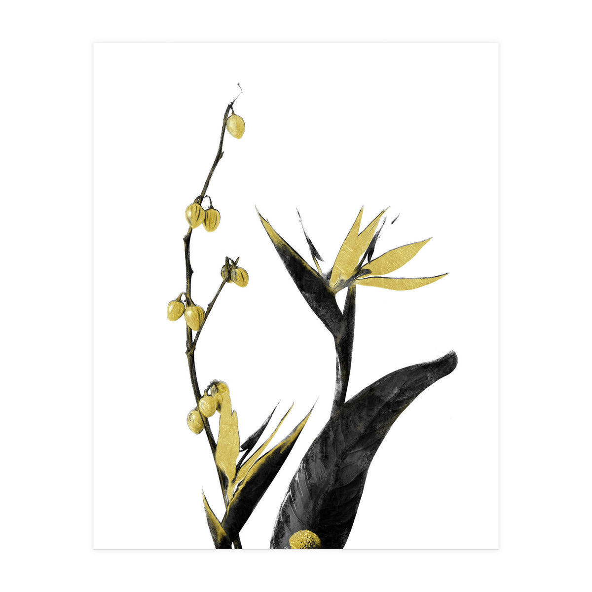 Flower Minimal Black And Gold 02 (Print Only)