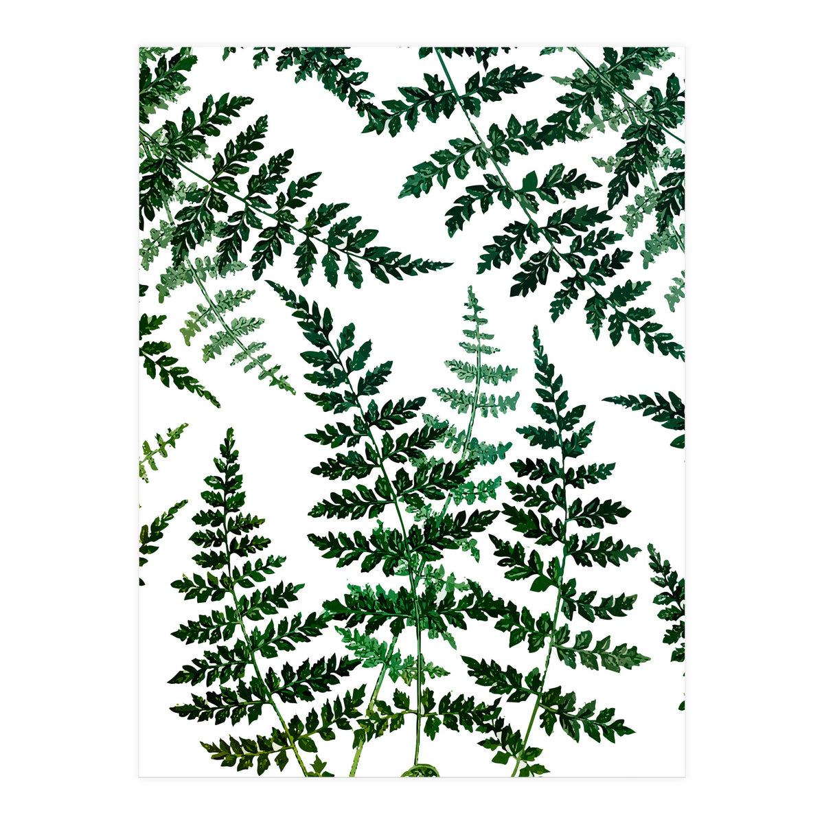 Botanical Bliss (Print Only)