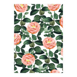 Josephine | Vintage Rose Garden Illustration | Bohemian Botanical Floral House Plants (Print Only) thumbnail