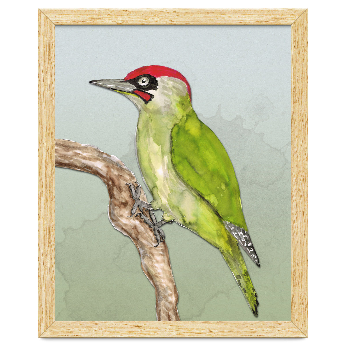 Green woodpecker