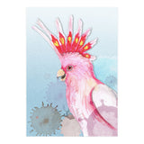 Major Mitchell's cockatoo (Print Only) thumbnail
