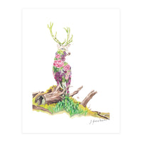 Floral May Stag (Print Only)
