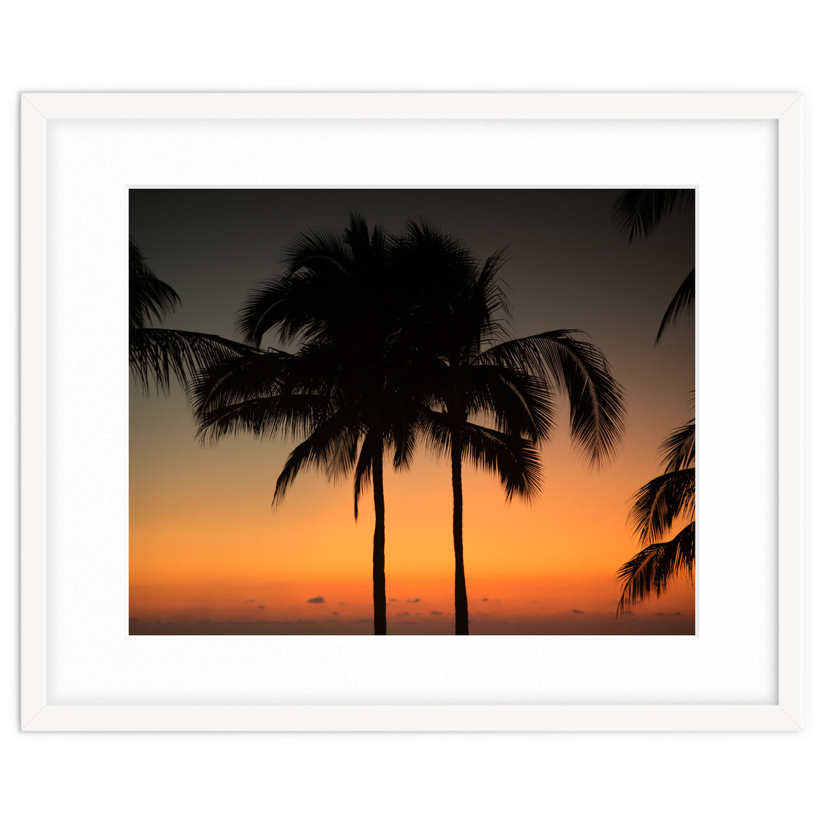 Mexico, November nights