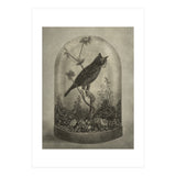 The Curiosity (Print Only) thumbnail