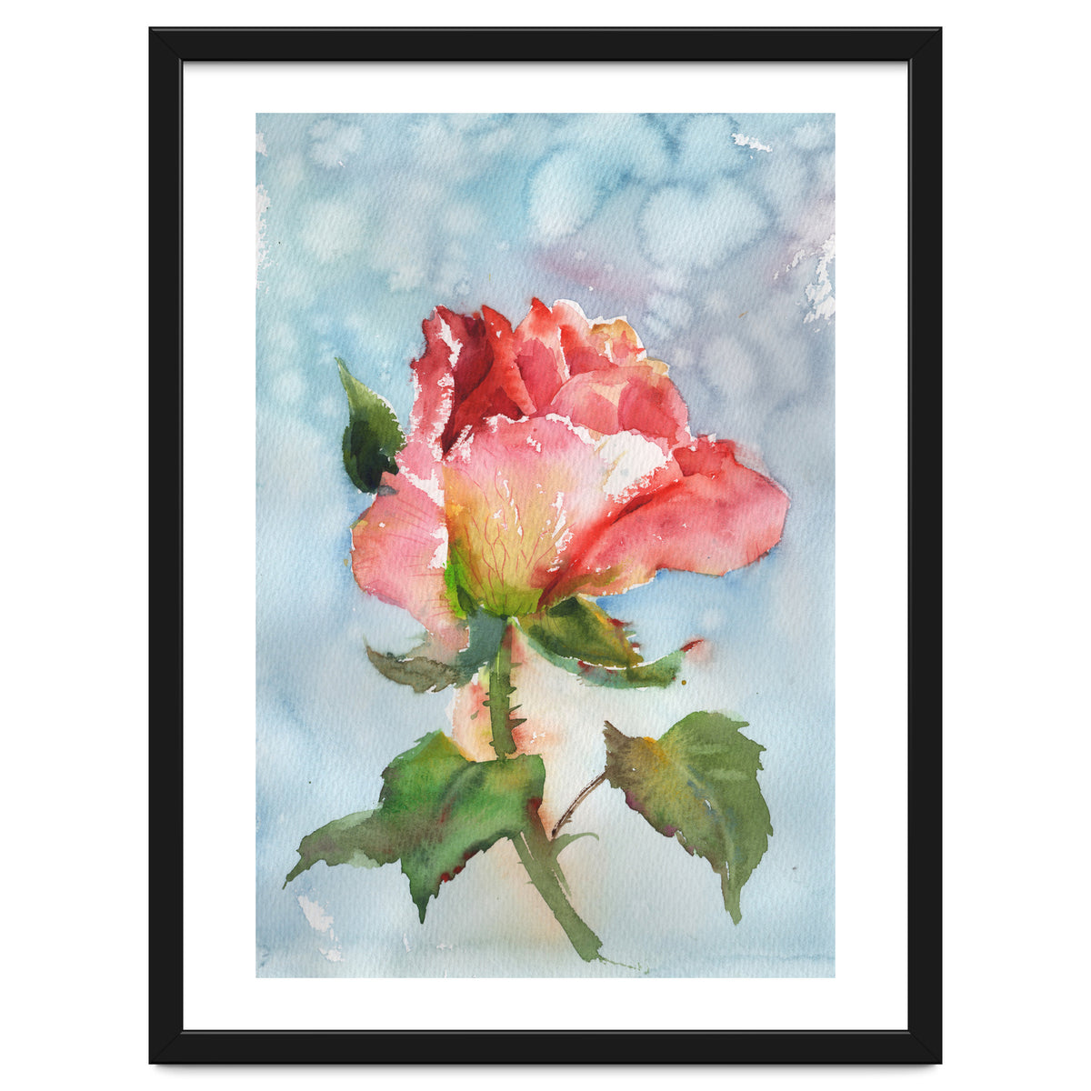 Beautiful Rose Watercolor