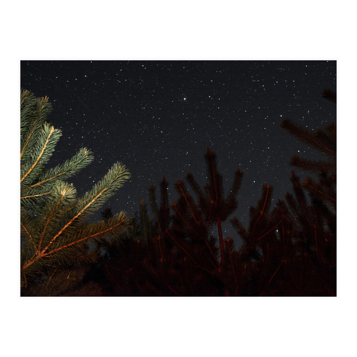 Sputnik Turntables (Print Only)