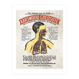 anatomy digestive system poster (Print Only) thumbnail