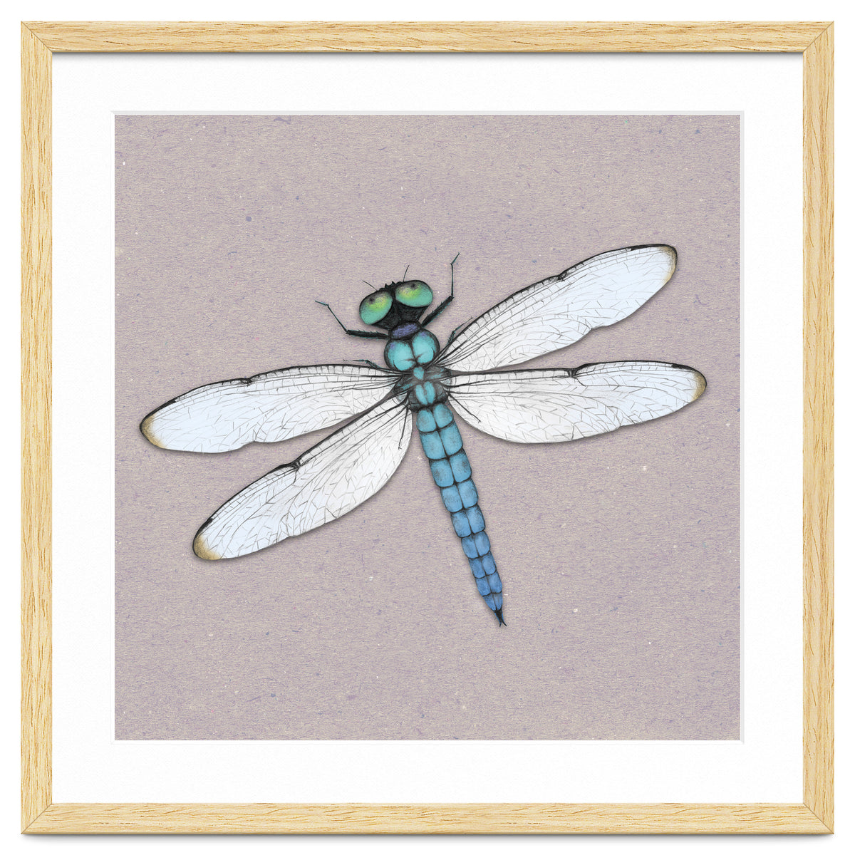 Blue dragonfly