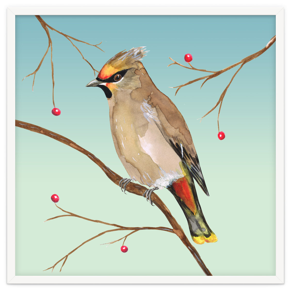 Bohemian waxwing