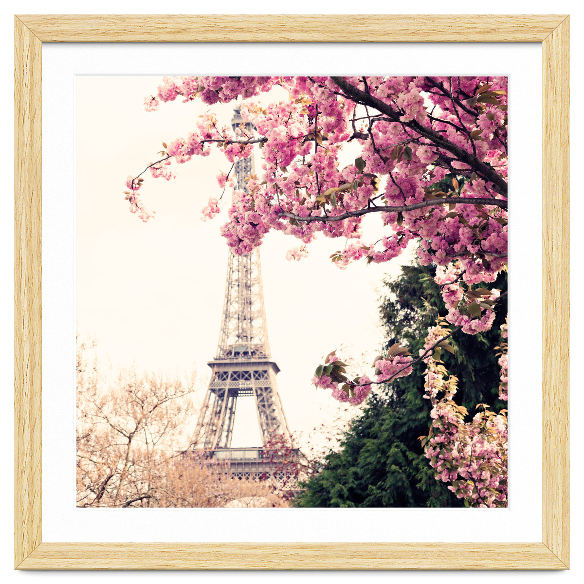 Paris in the Spring