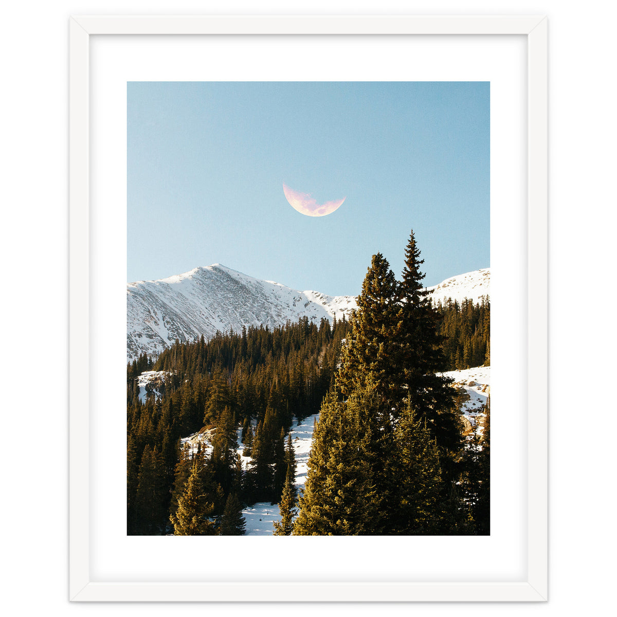 Daylight Moon