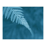 Pteridopsida 1 (Print Only) thumbnail
