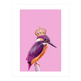 Queenfisher (Print Only) thumbnail