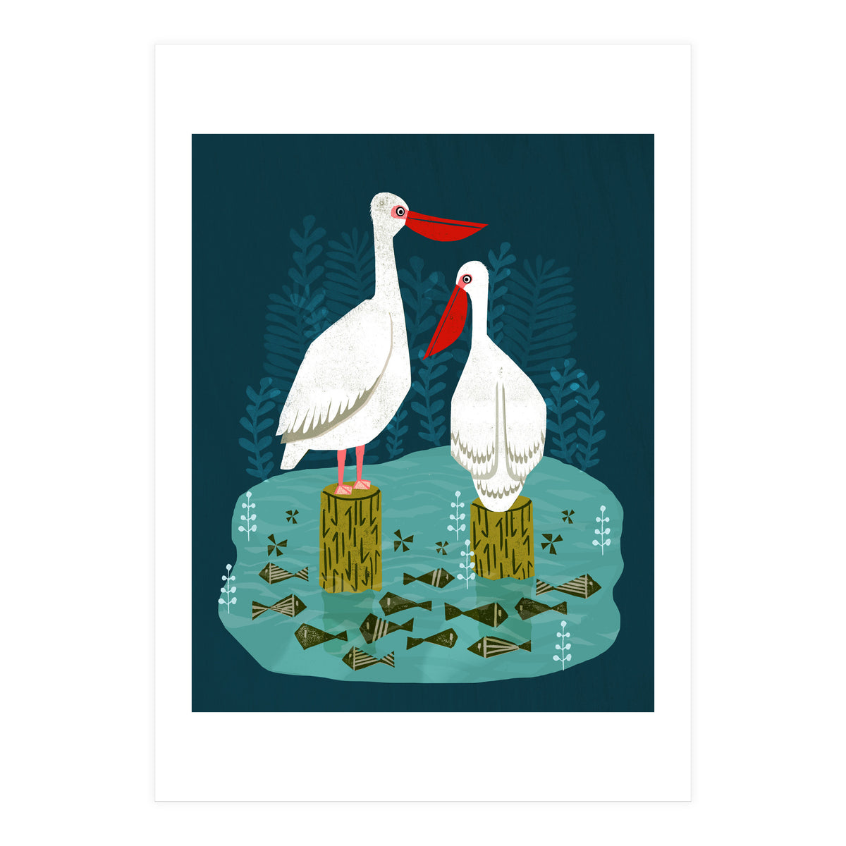 Pelicans (Print Only)