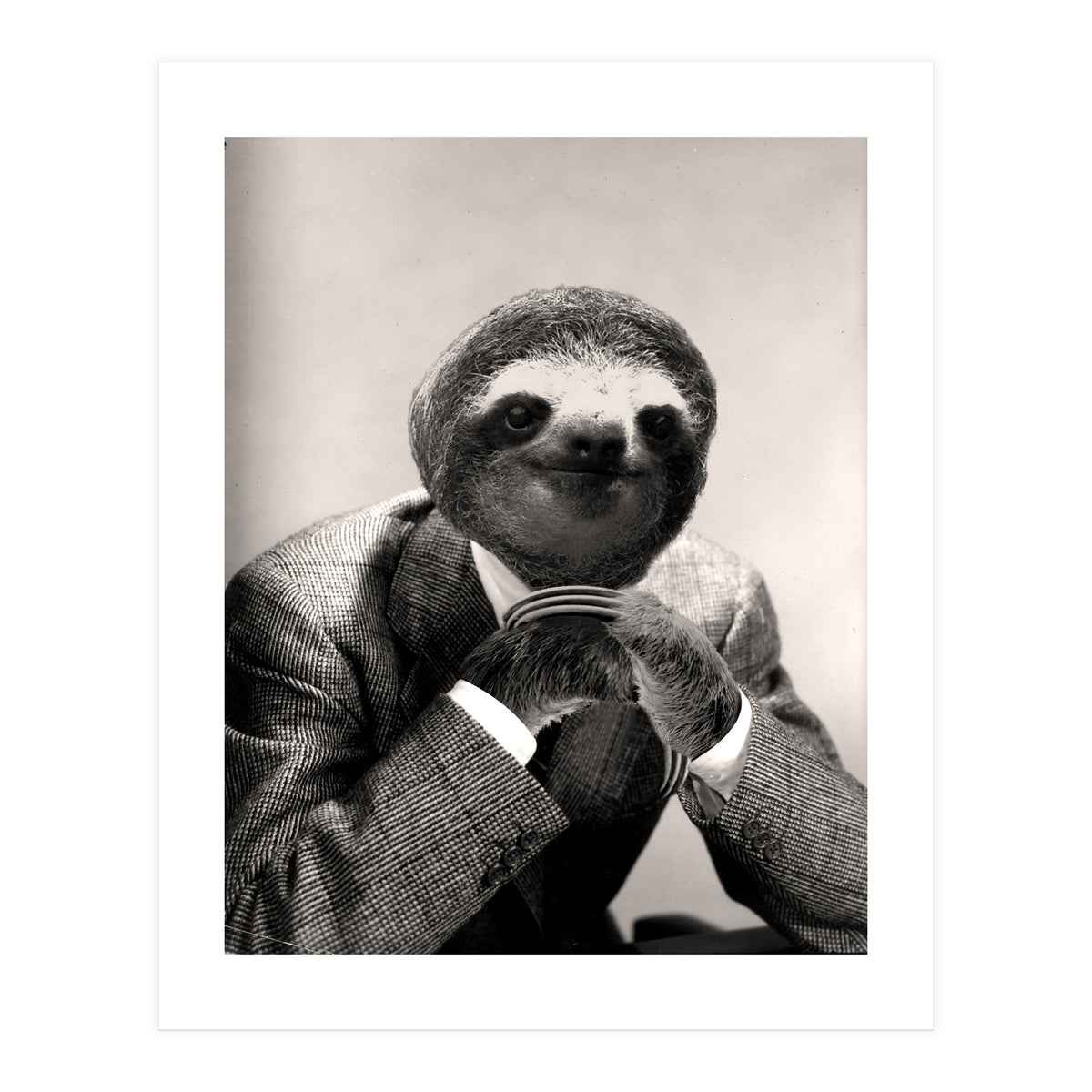 Gentleman Sloth 3 (Print Only)