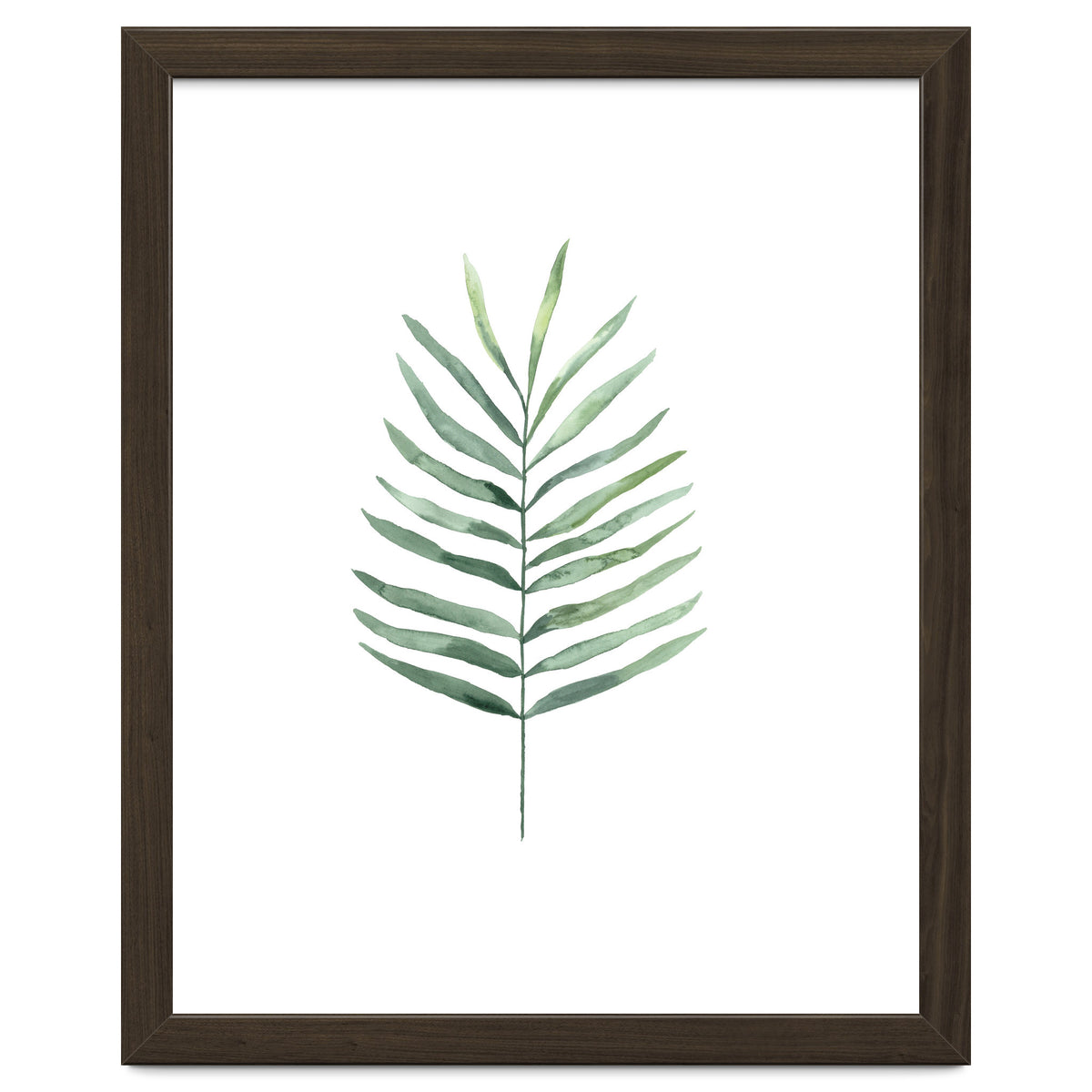 Botanical Illustration Fern
