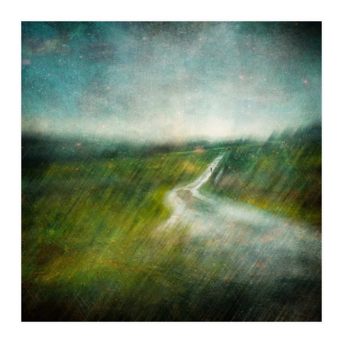 The Road Ahead (Print Only)