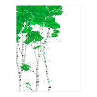 Birch forest (Print Only)