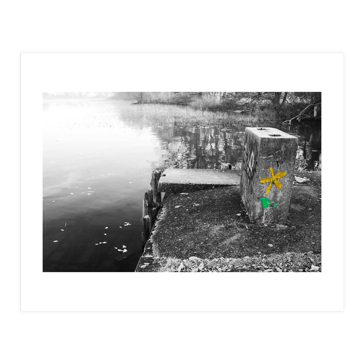 Frozen Ground Yellow Flower Street Art (Print Only)