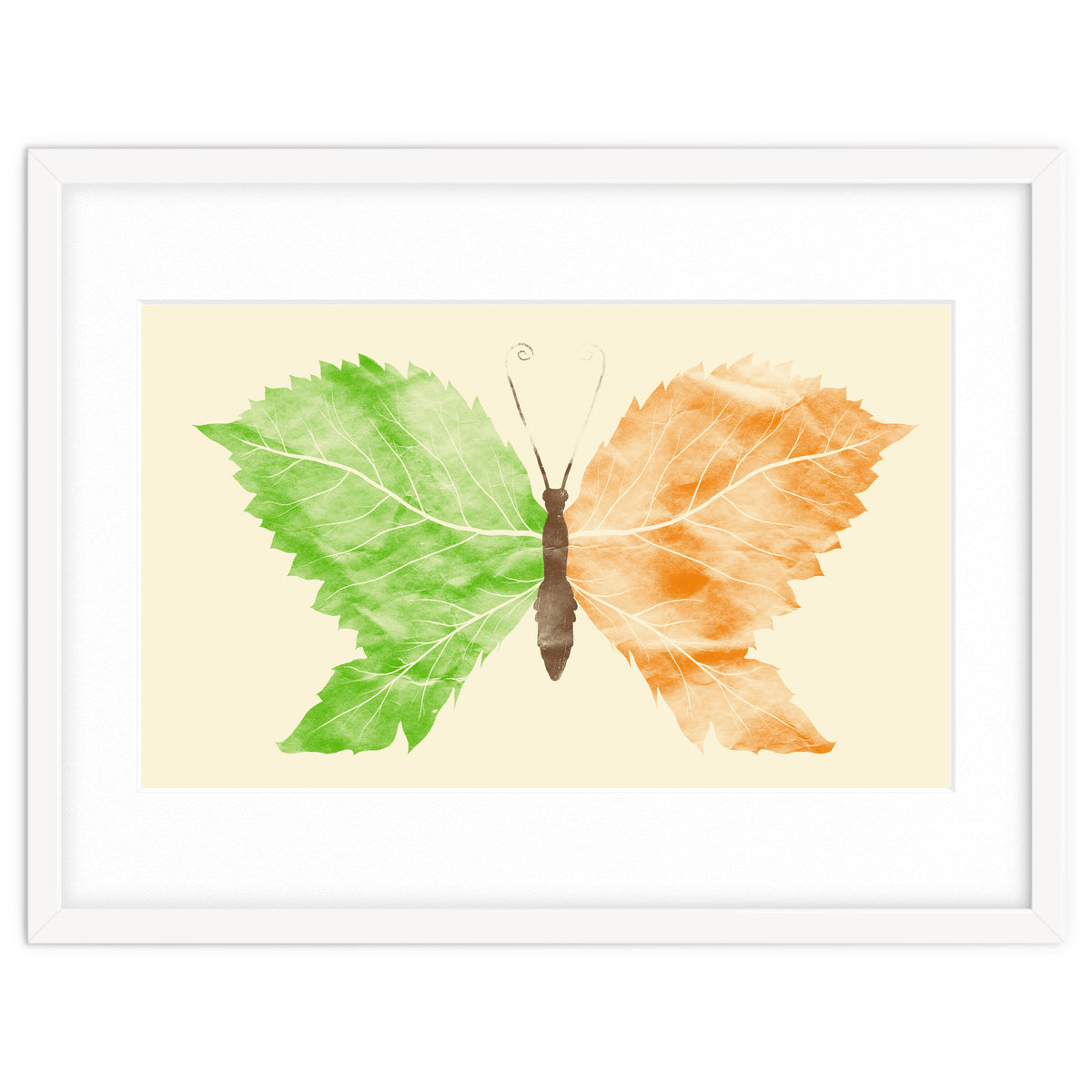 Seasons Change Time Flies