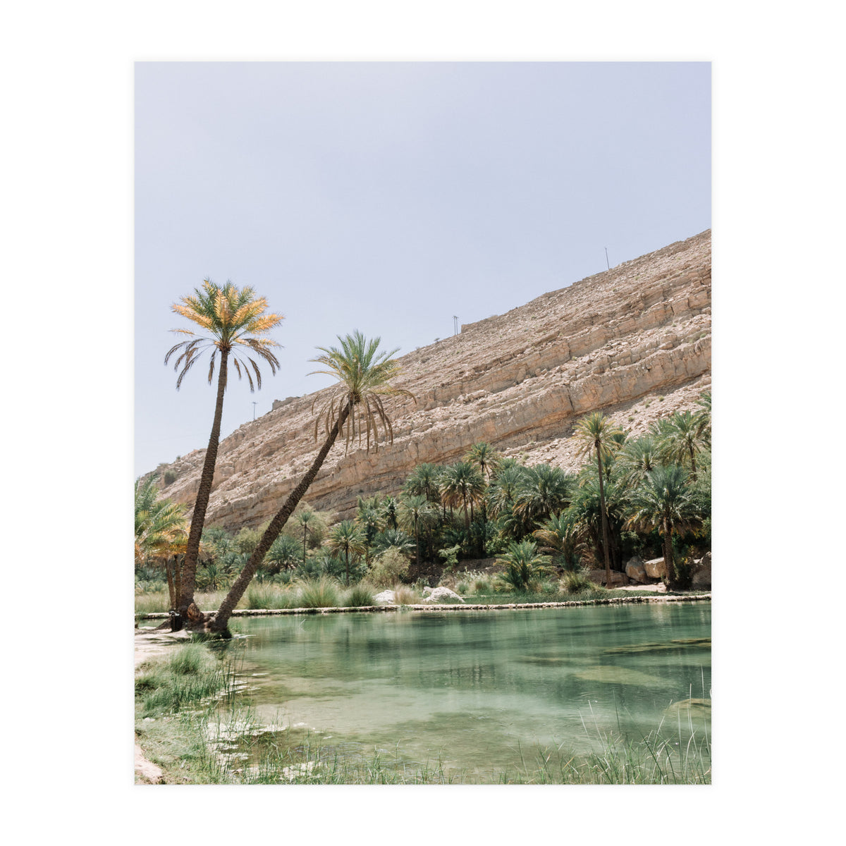 Tropical Oasis Portrait (Print Only)