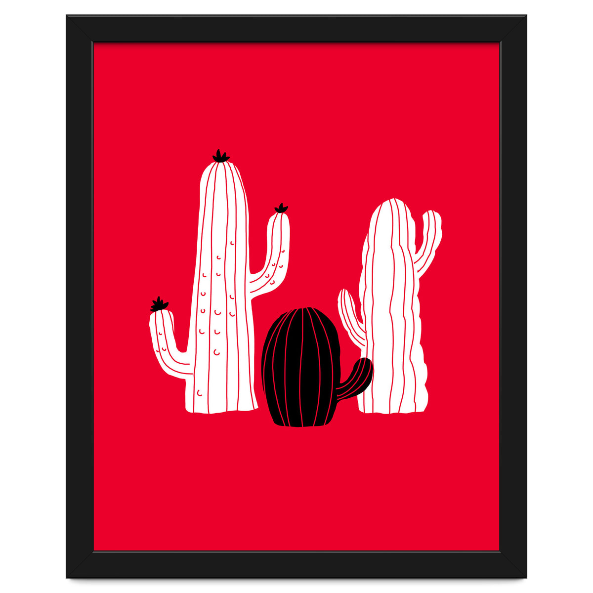 Cactus