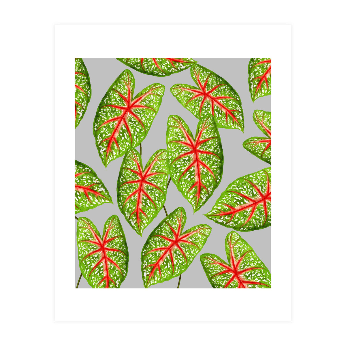 Expression Of Peace (Print Only)