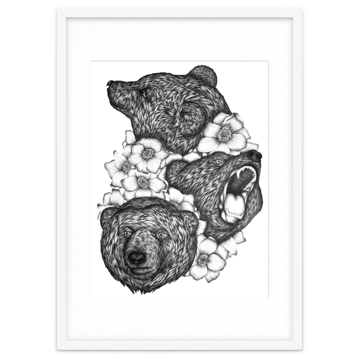 Bears In Bears