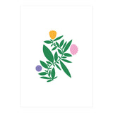 Wild Flower small (Print Only) thumbnail