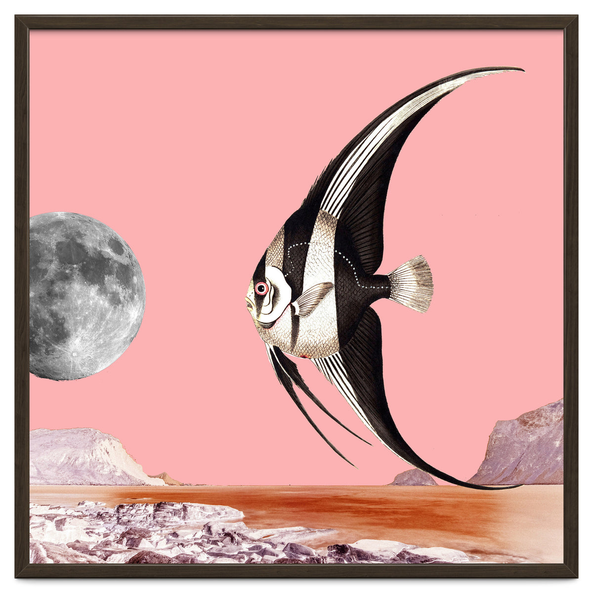 Plenty Of Fish In The Sea Pink