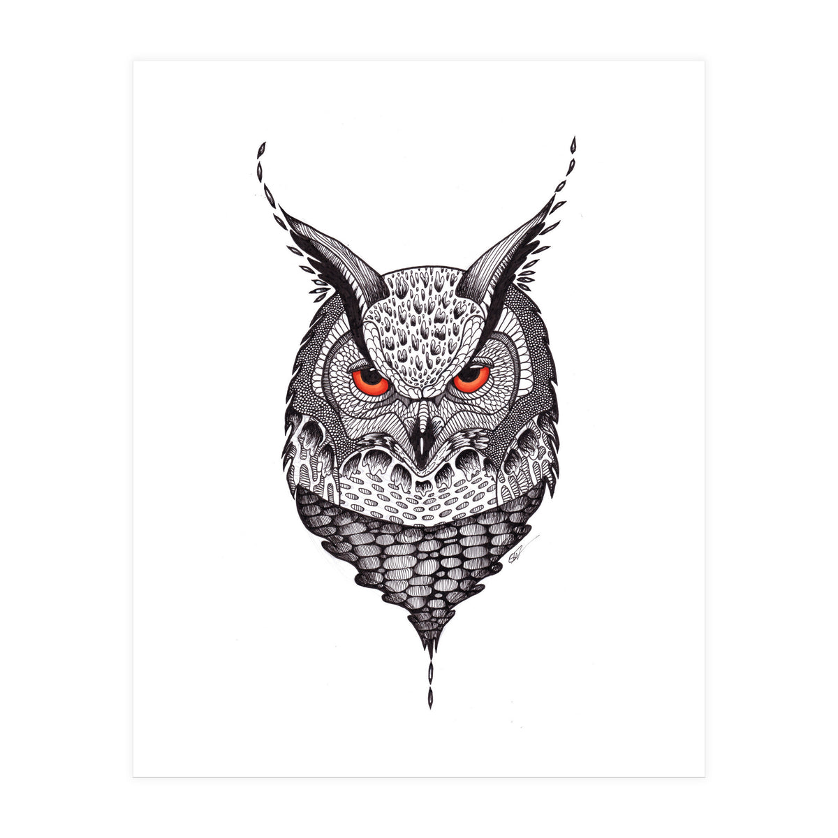 Owl (Print Only)