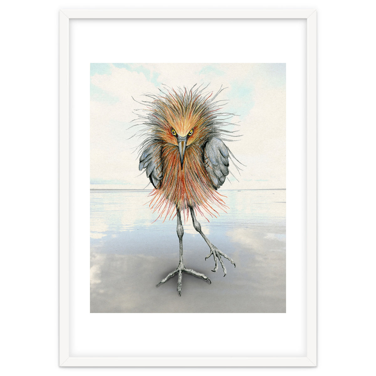 Reddish Egret
