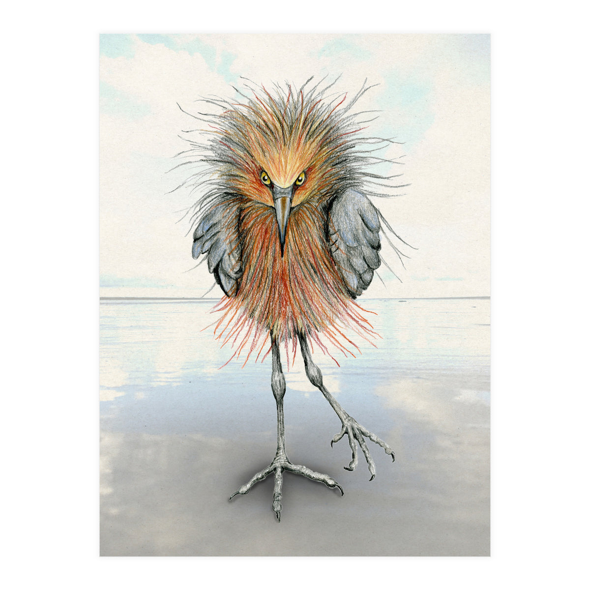 Reddish Egret (Print Only)
