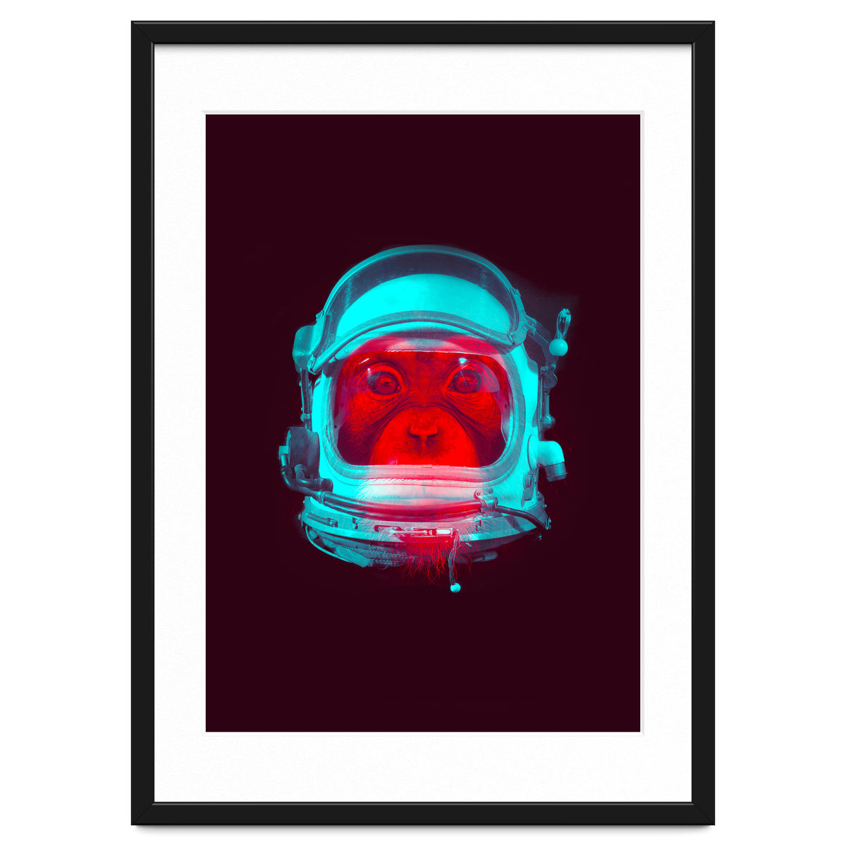 Astronaut