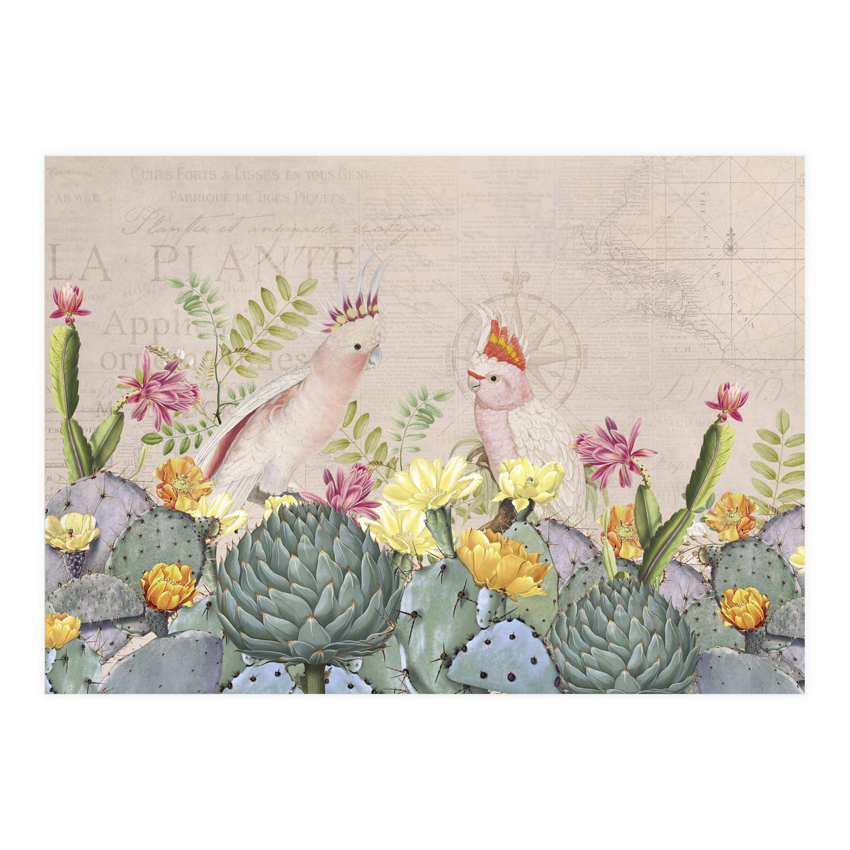 Desert Cockatoos (Print Only)