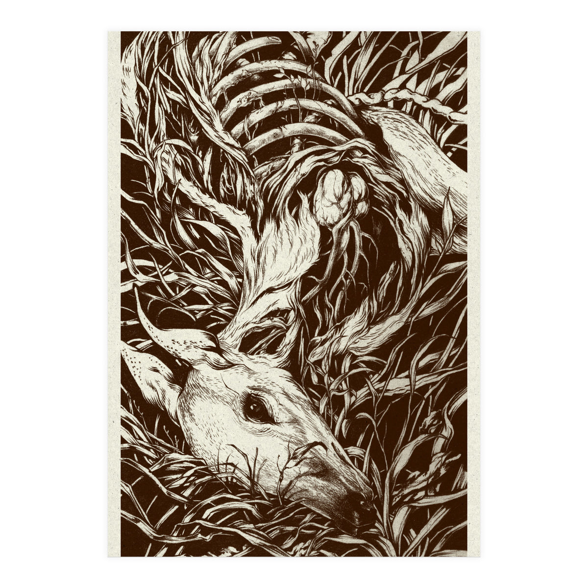 Doeeyed (Print Only)