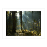 Reidholz (Print Only) thumbnail