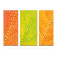 Autumn Leaves (Print Only)