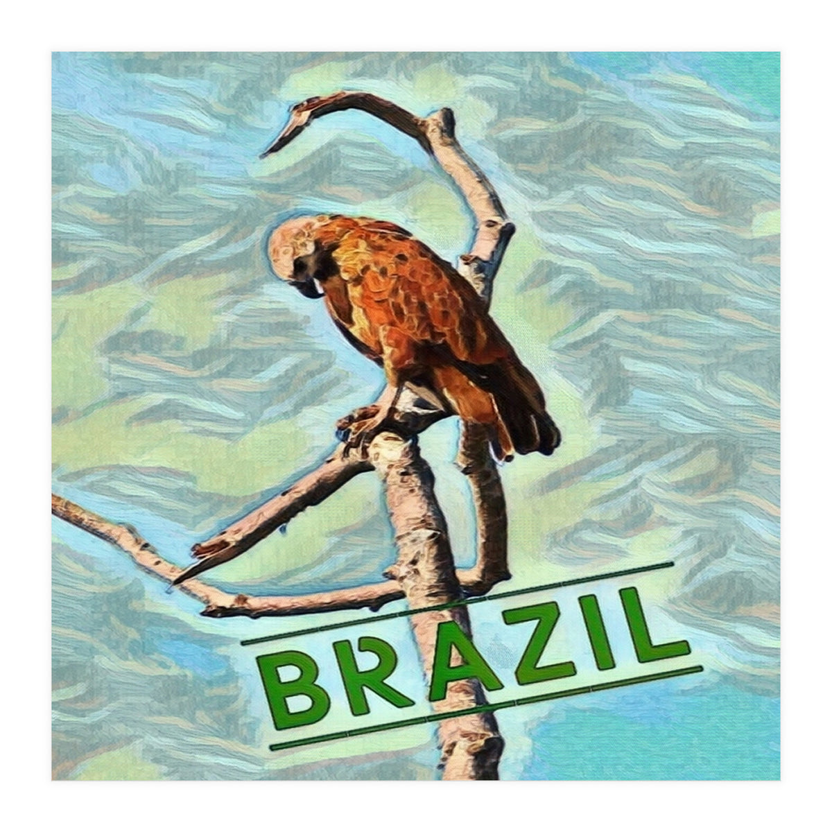 Brazilian resting Eagle (Print Only)