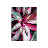 fiore red (Print Only) thumbnail