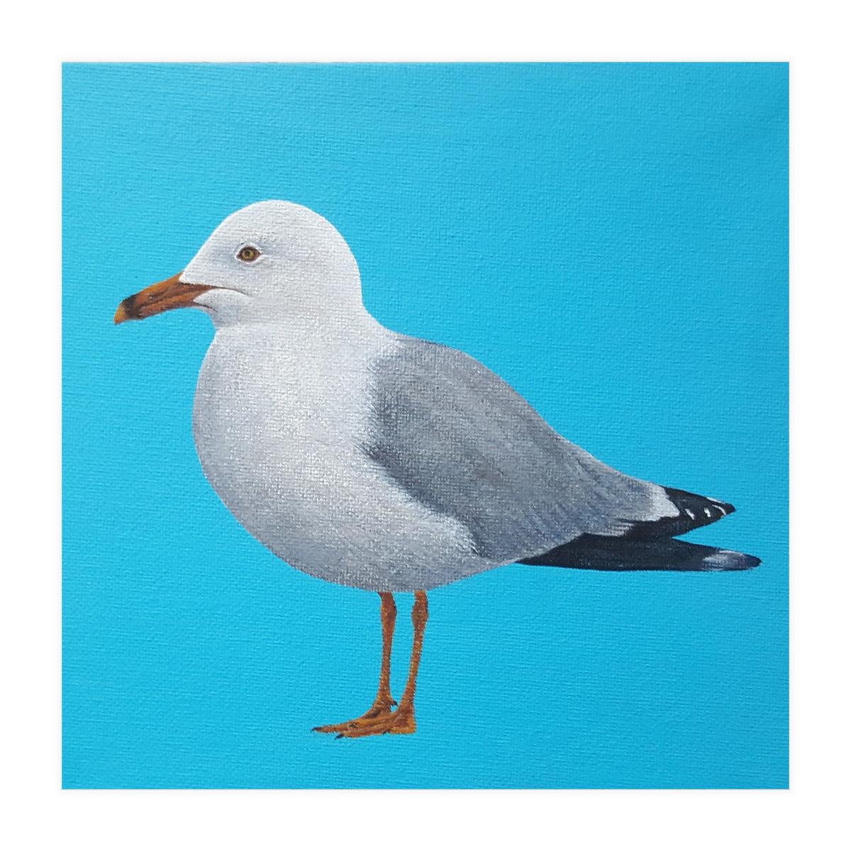 Seagull (Print Only)